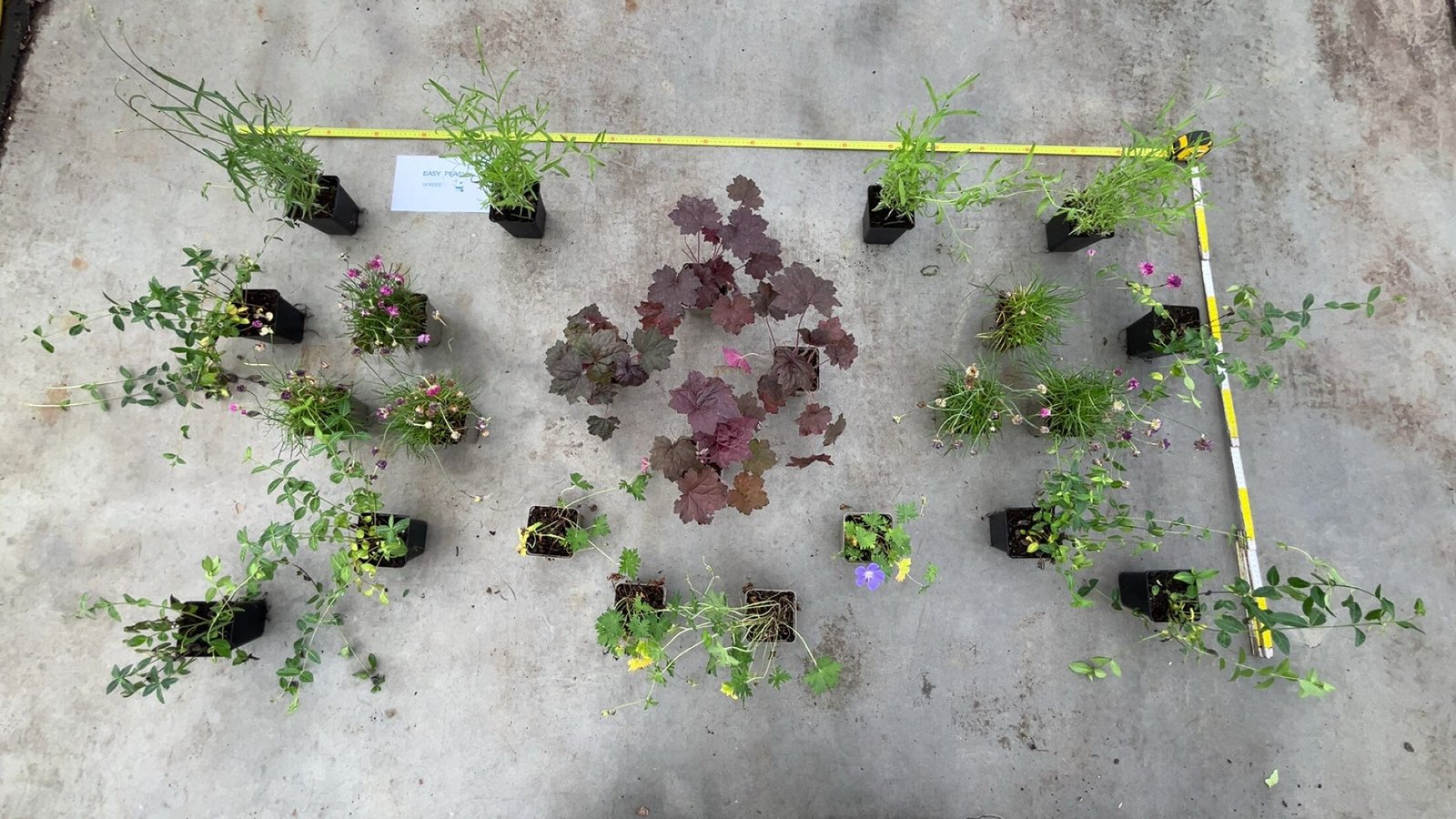 Borderpakket (per 2 m²) - Easy Peasy Border - Afbeelding 2